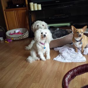 Meet your Posher, Francene